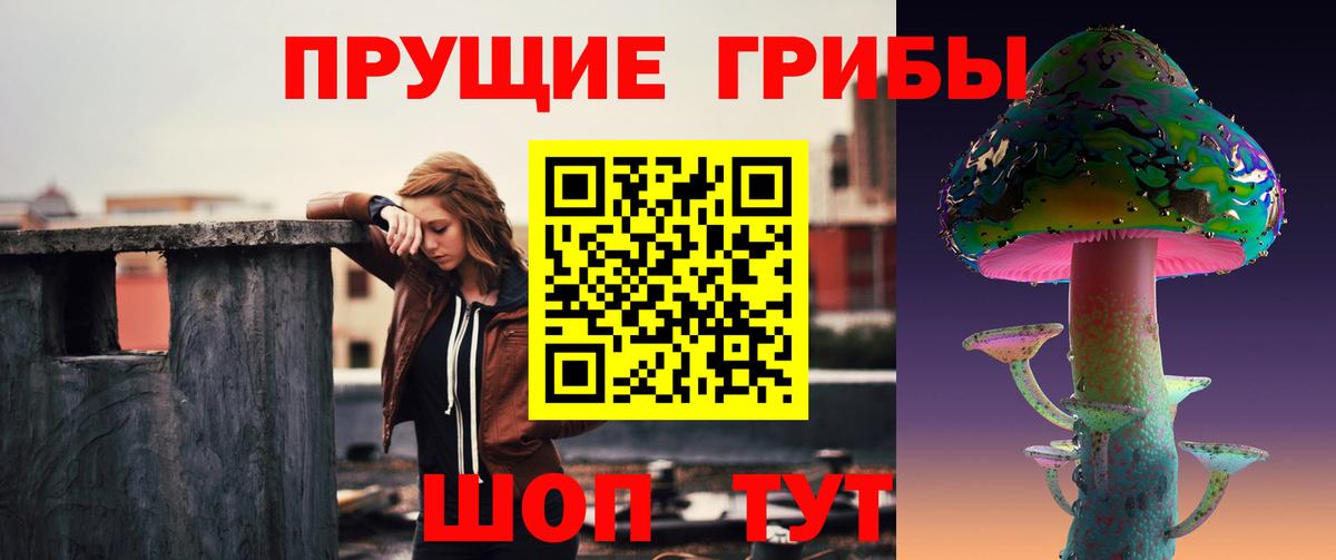 Галлюциногенные грибы Psilocybe Кольчугино